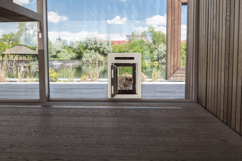 petWALK Katzenklappe in einer Glastür mit Katze
