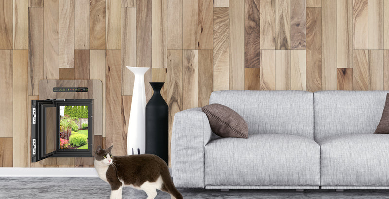 petWALK Katzenklappe in einer Wand mit Katze
